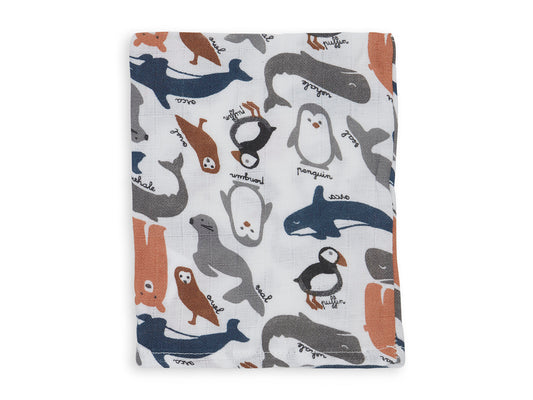 Jollein - Hydrofiel Washandje 'Polar' - 3 STUKS